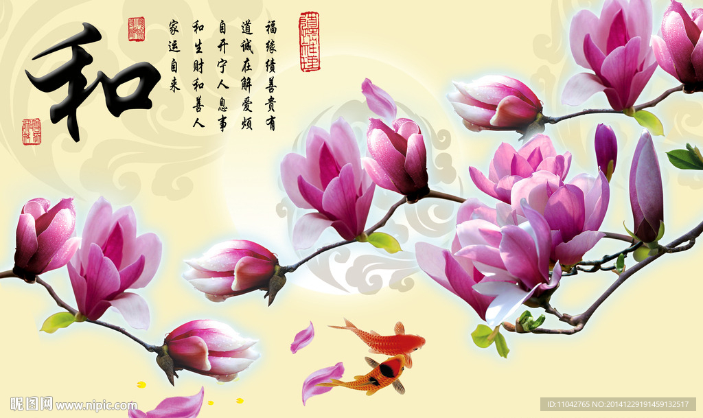 玉兰花