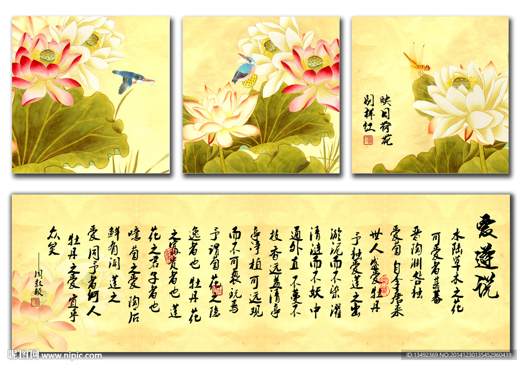 国画荷花