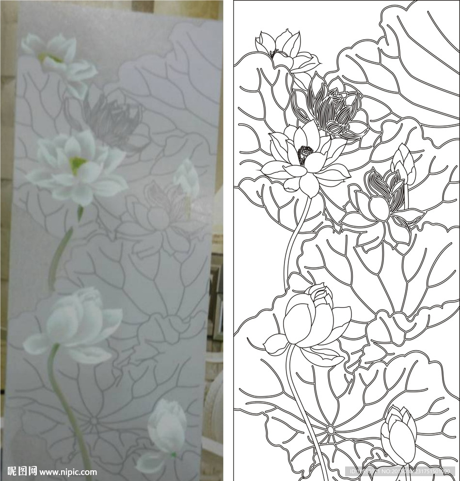 荷花