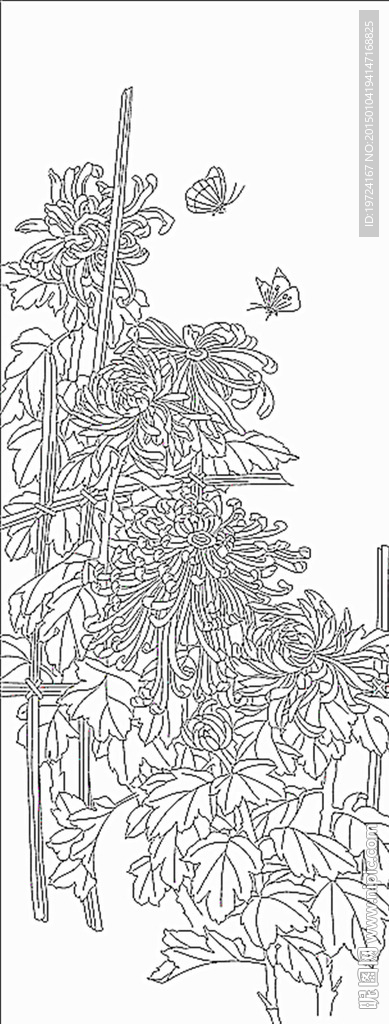 菊花