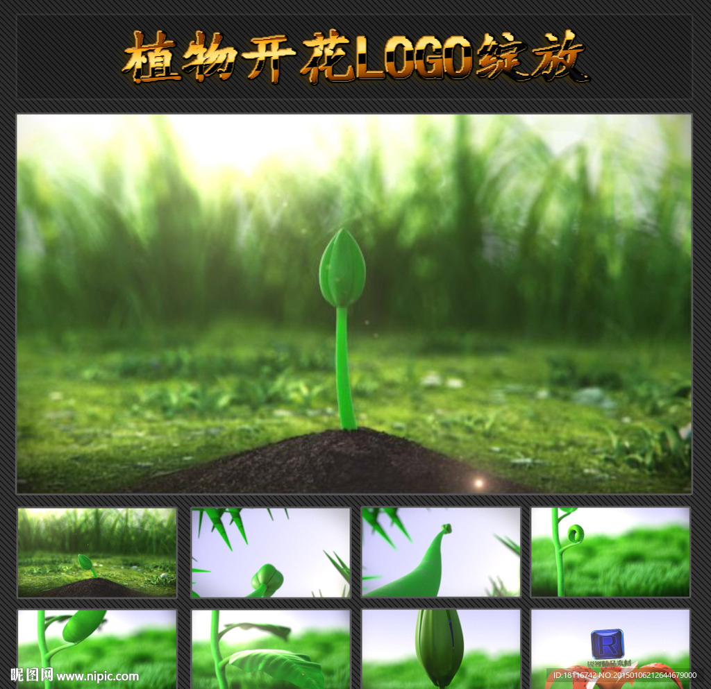 植物生长开花结果LOGO片头