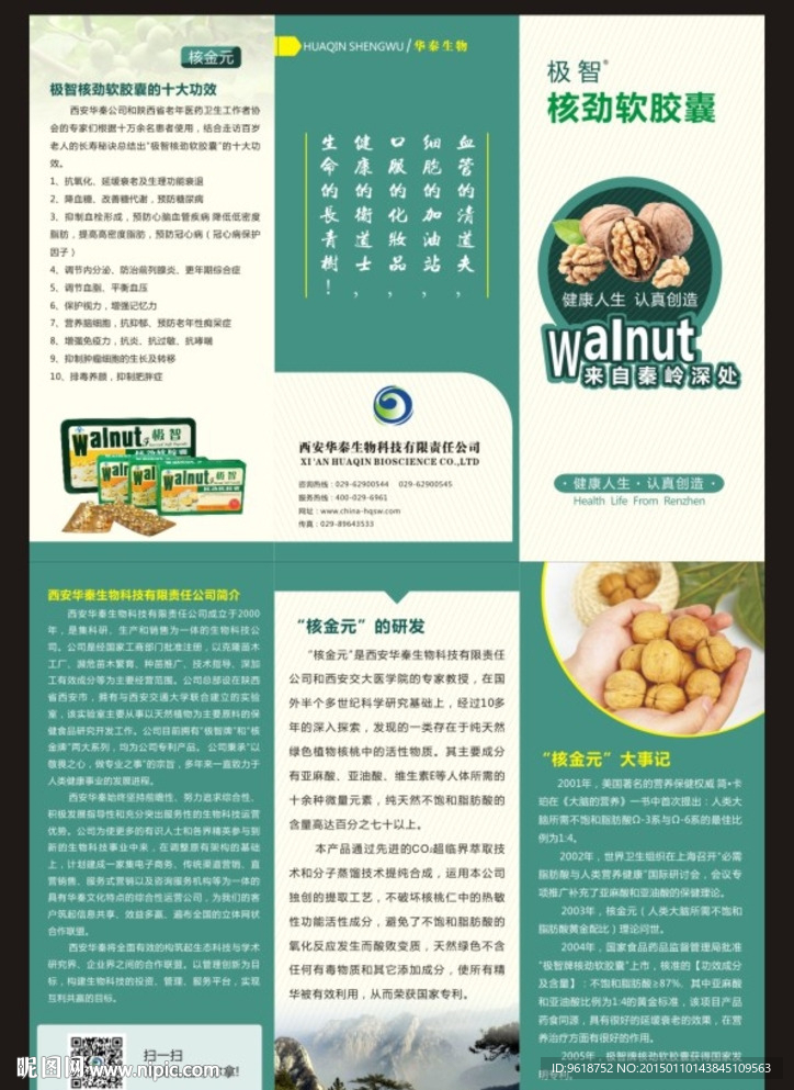 三折页 核桃油 秦岭