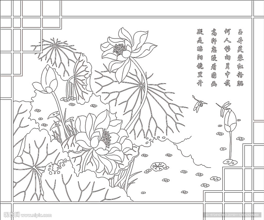 荷花