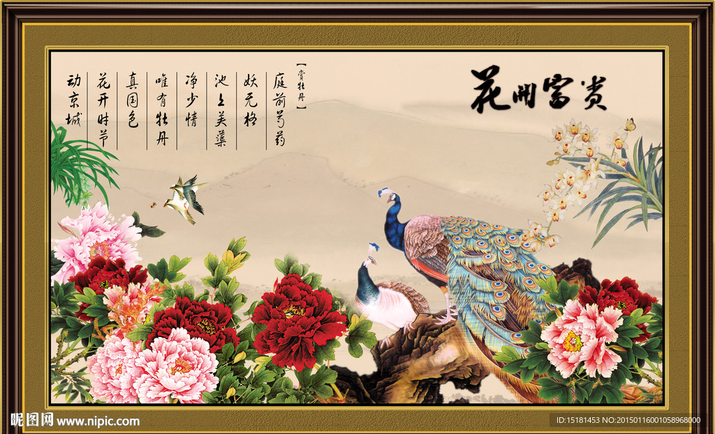 孔雀图