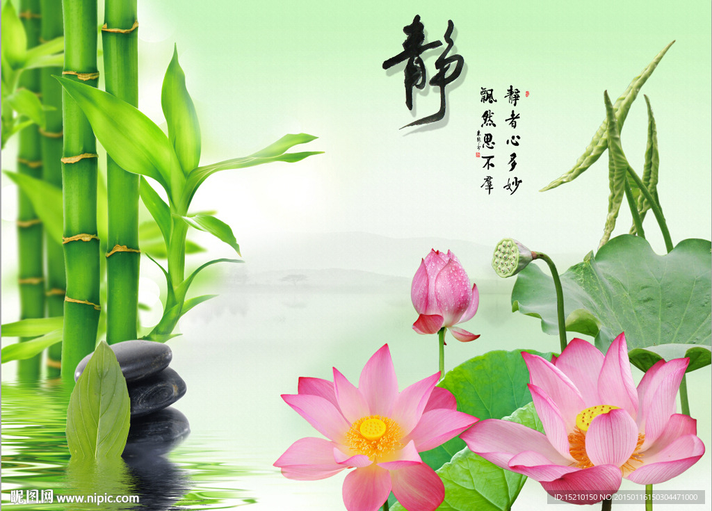 静竹子荷花