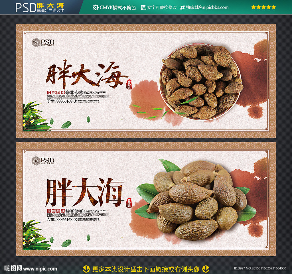 胖大海海报
