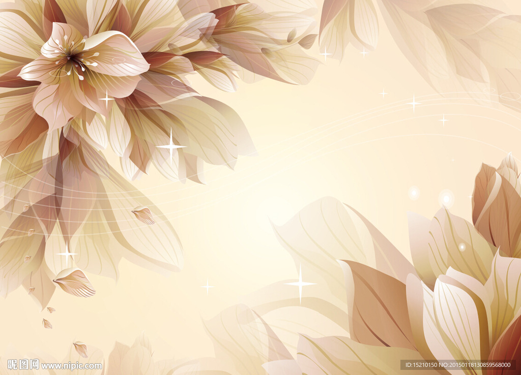 梦幻百合花