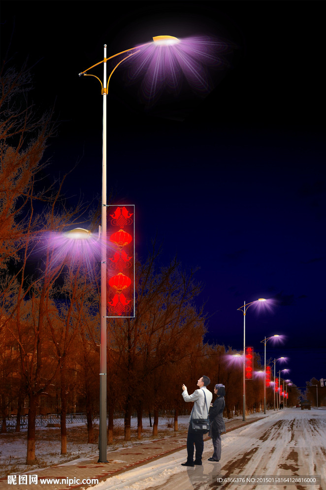 亮化 灯杆 节日亮化