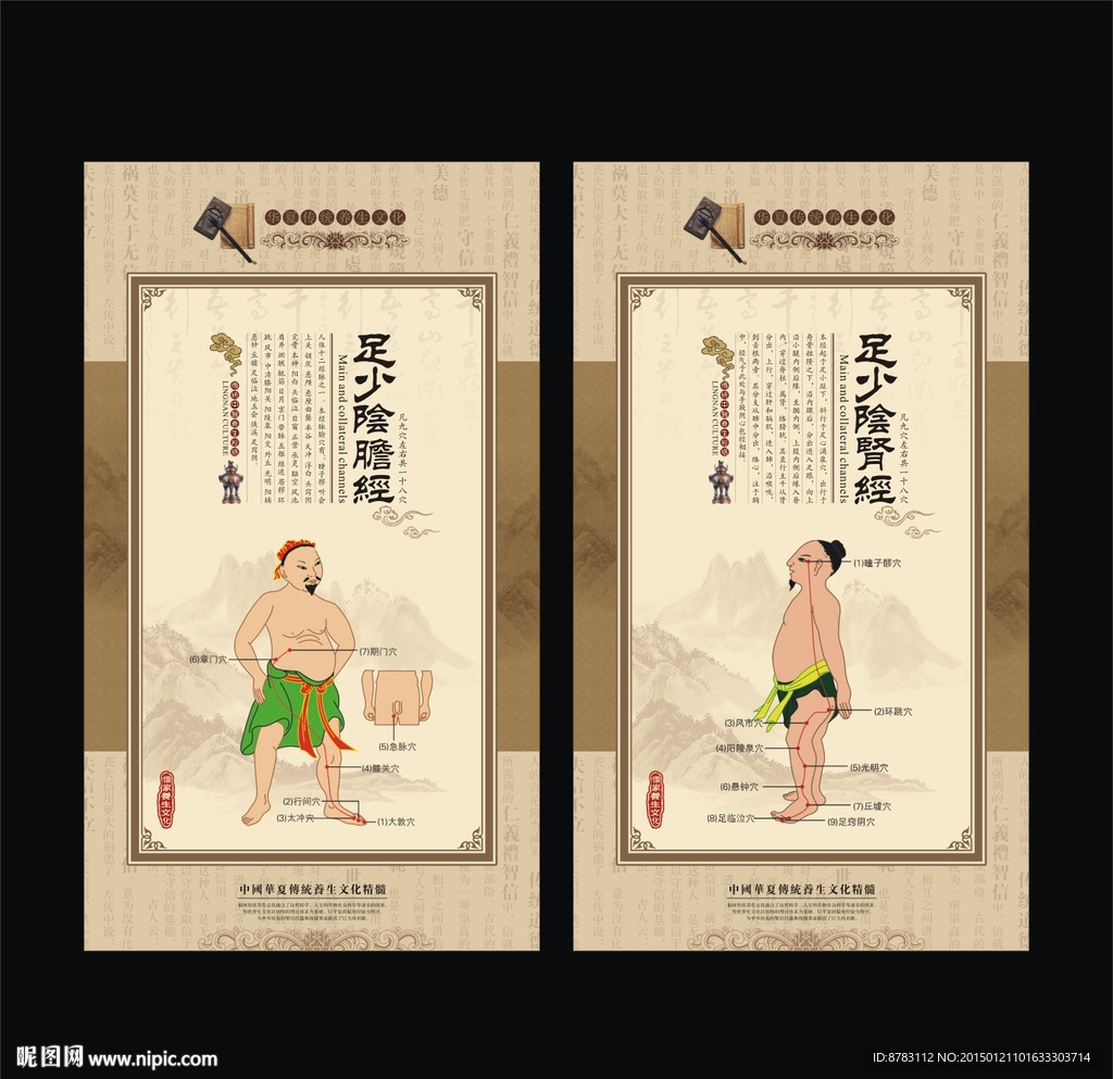 胆经 肾经 经络养生展板