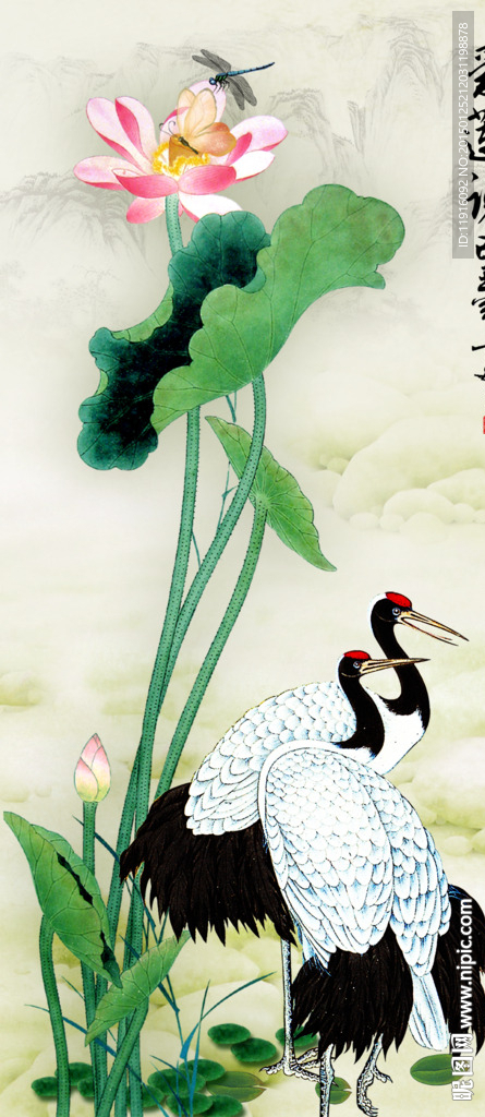 荷花 仙鹤