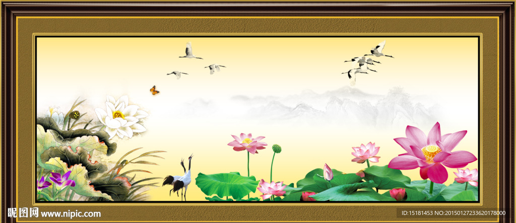 荷花风景