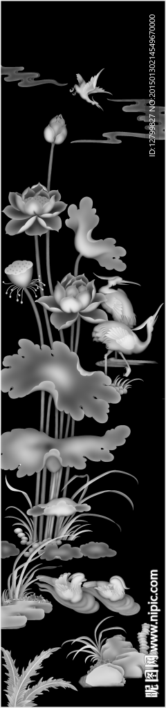 荷花灰度图