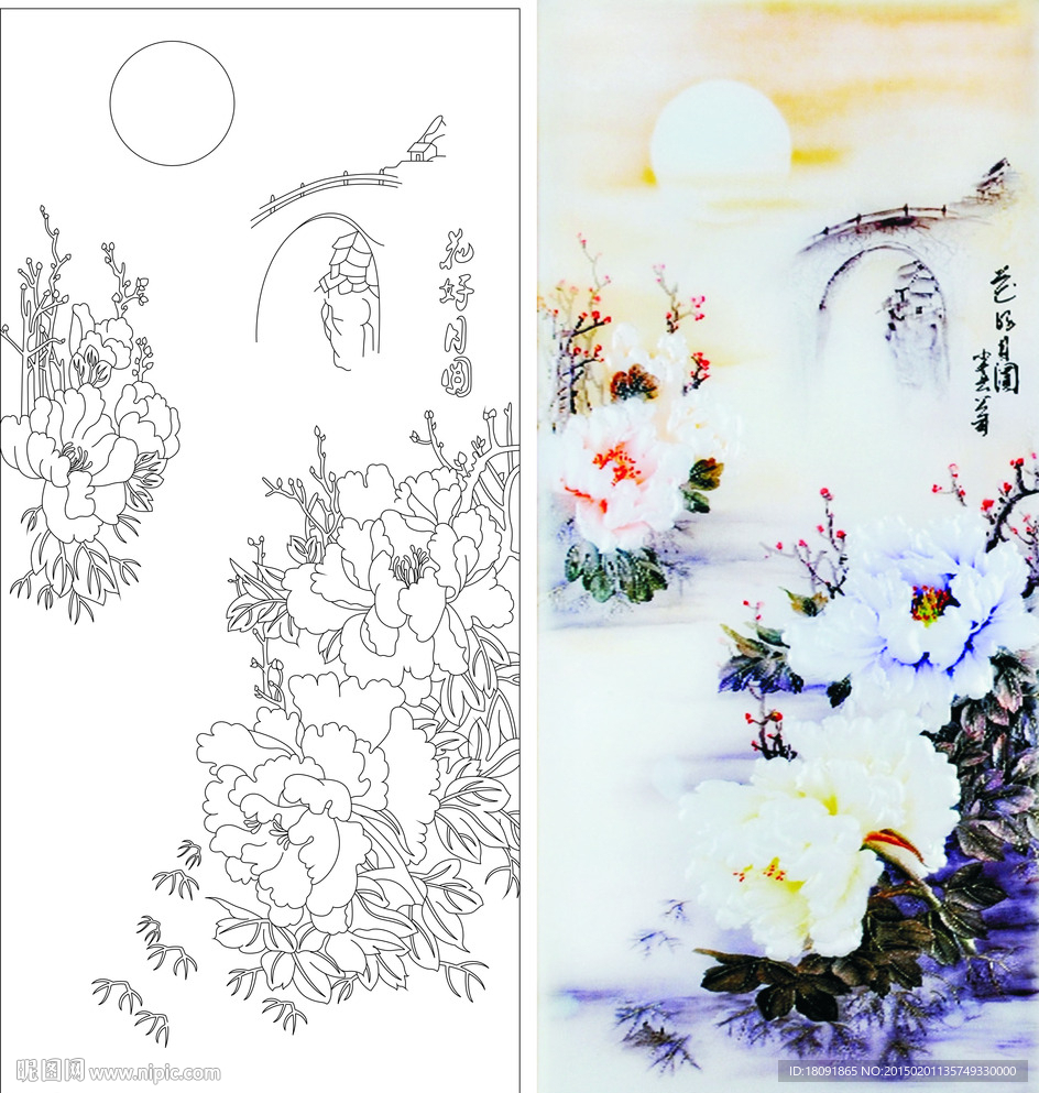 花好月圆 牡丹花