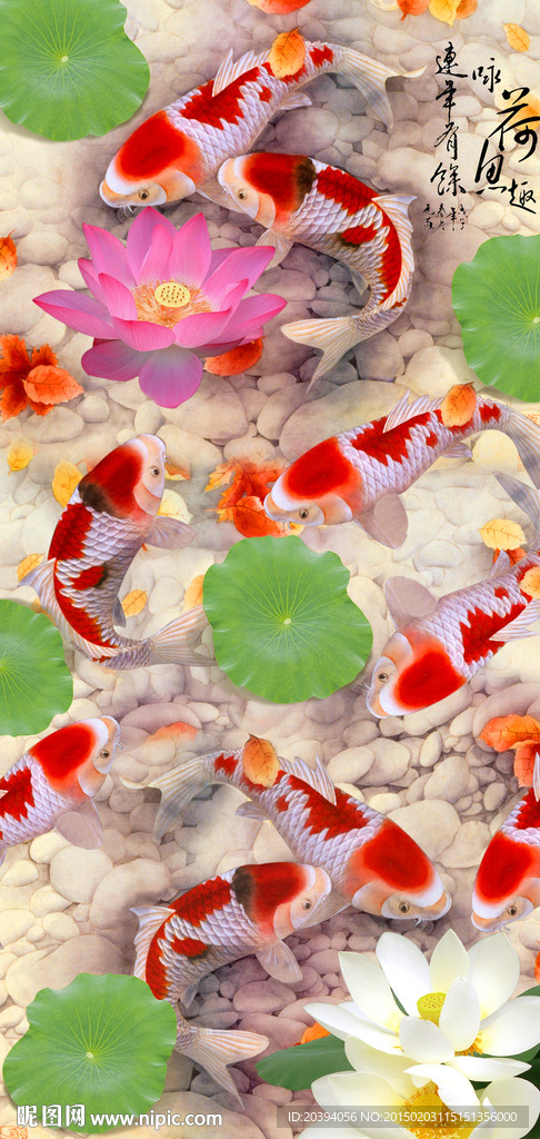 咏荷鱼趣玄关背景