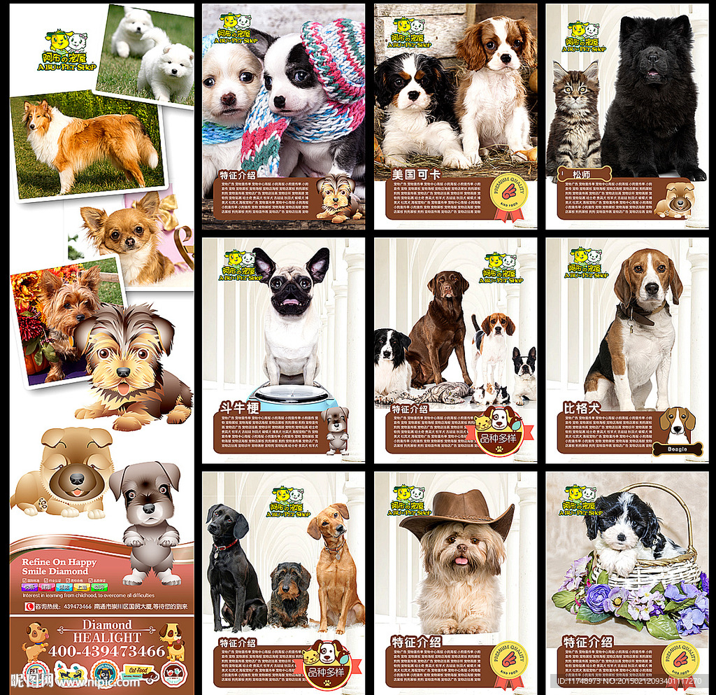 宠物店宣传海报