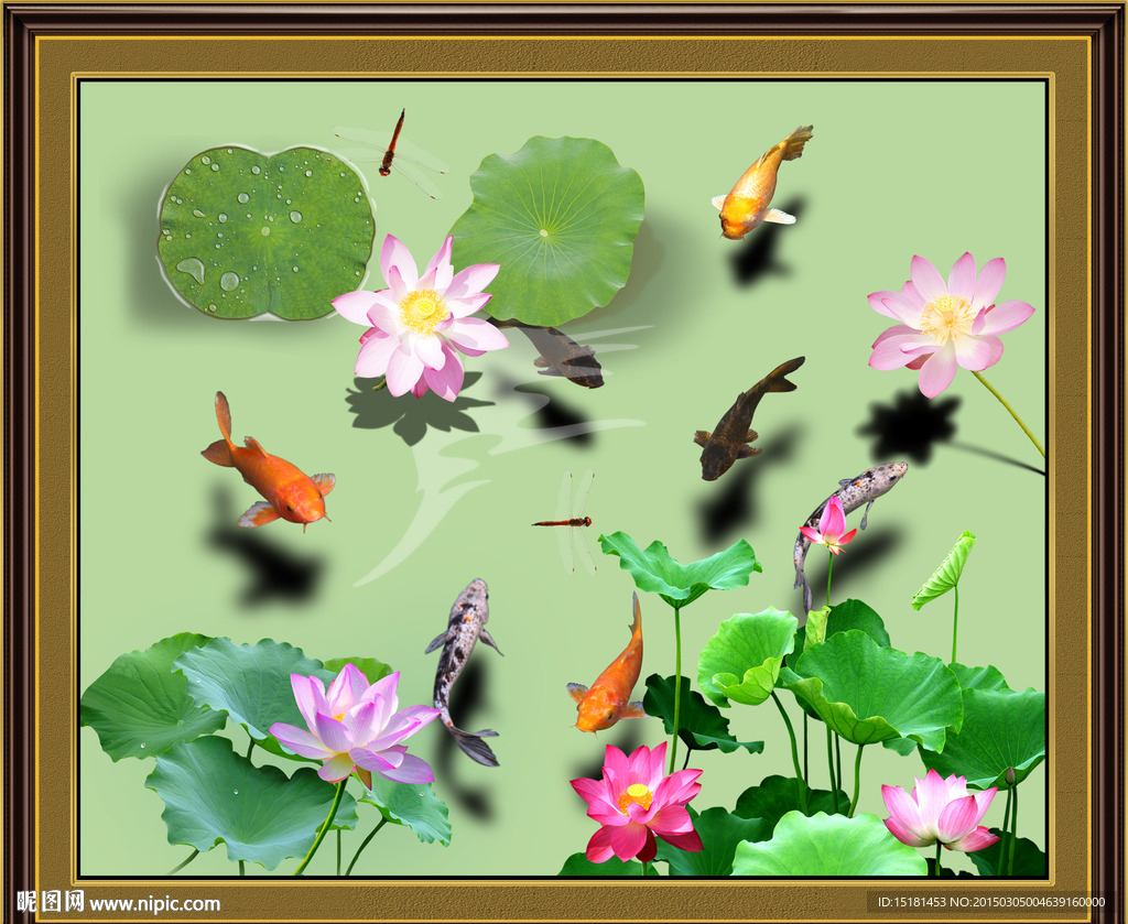 荷花图