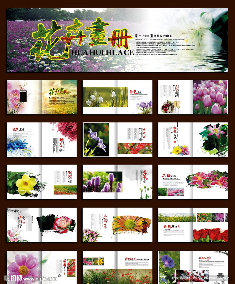 花卉画册模板