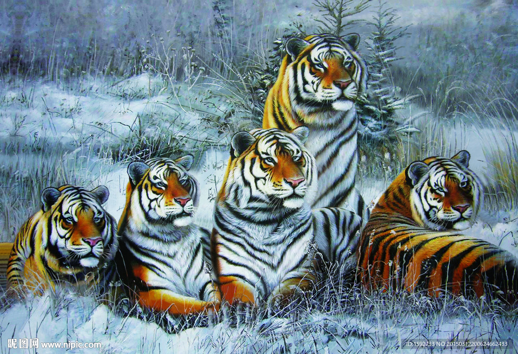 虎虎生威五只猛虎立体画序列图
