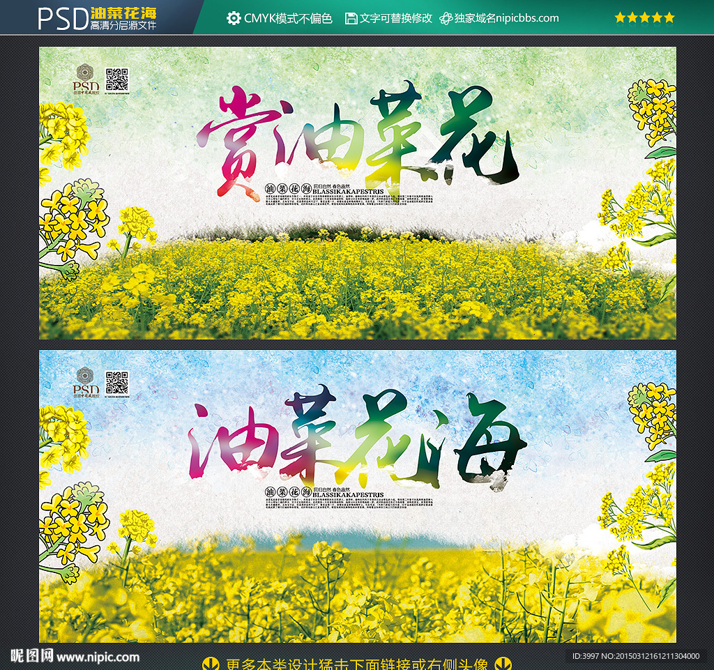 赏油菜花 油菜花海报