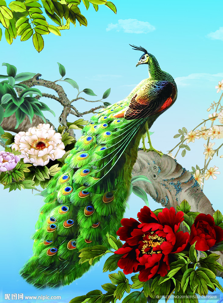 高清孔雀牡丹花特写立体画序列图