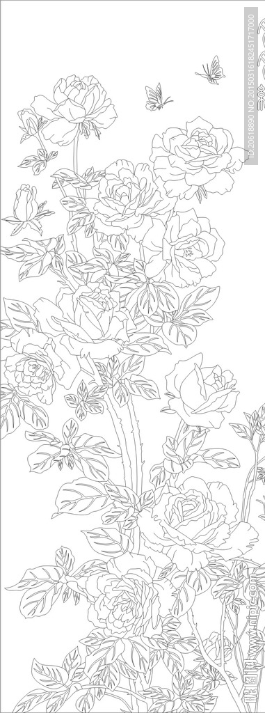 玫瑰花