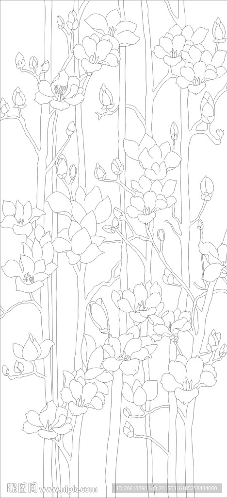 玉兰花