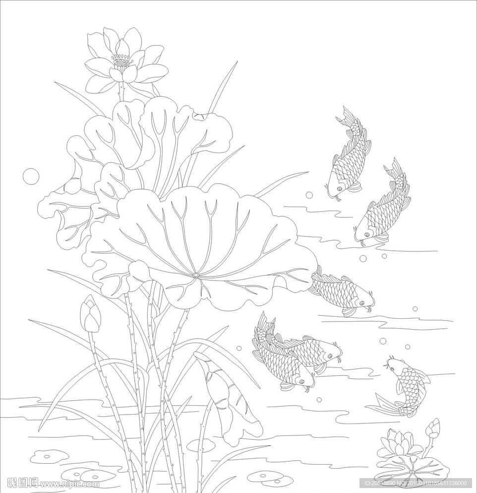 荷花鱼