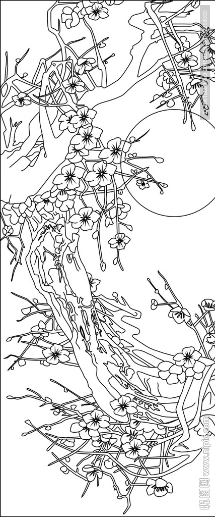 梅花太阳