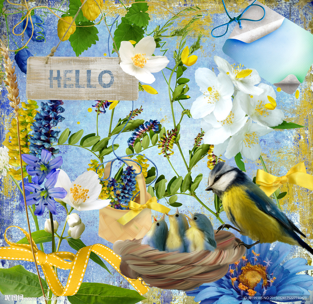 花 田园 鸟 丝带