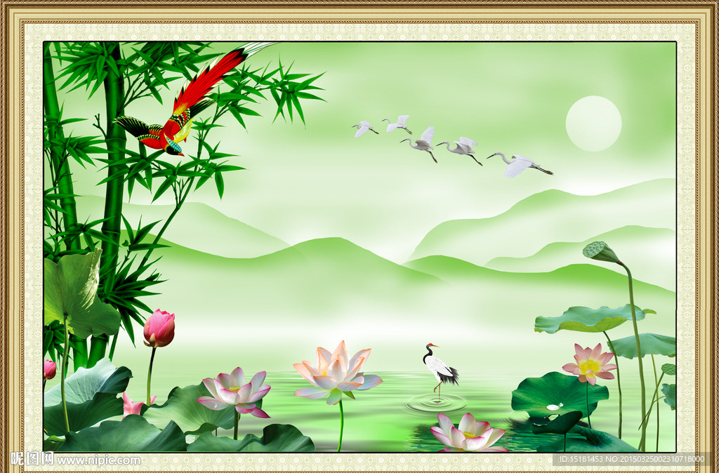 荷花风景