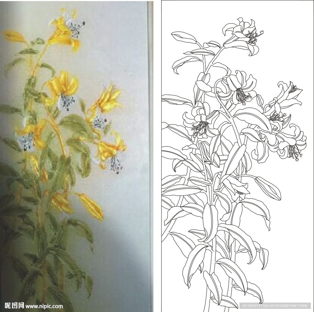 百合花