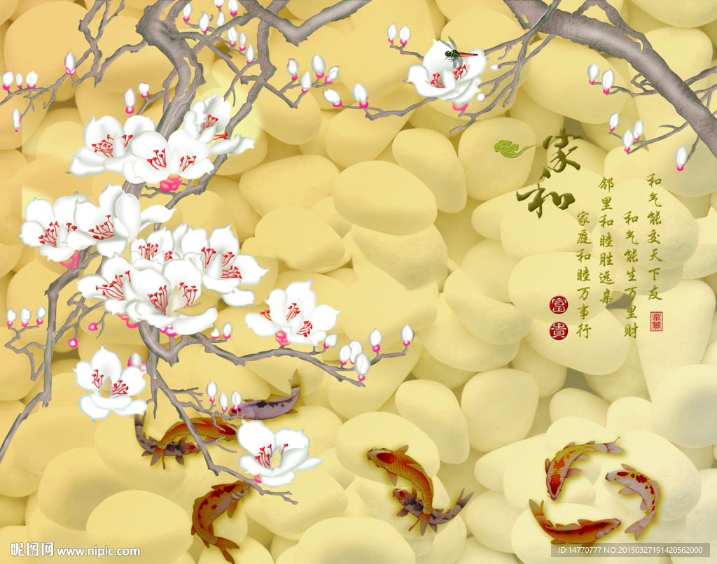 玉兰花