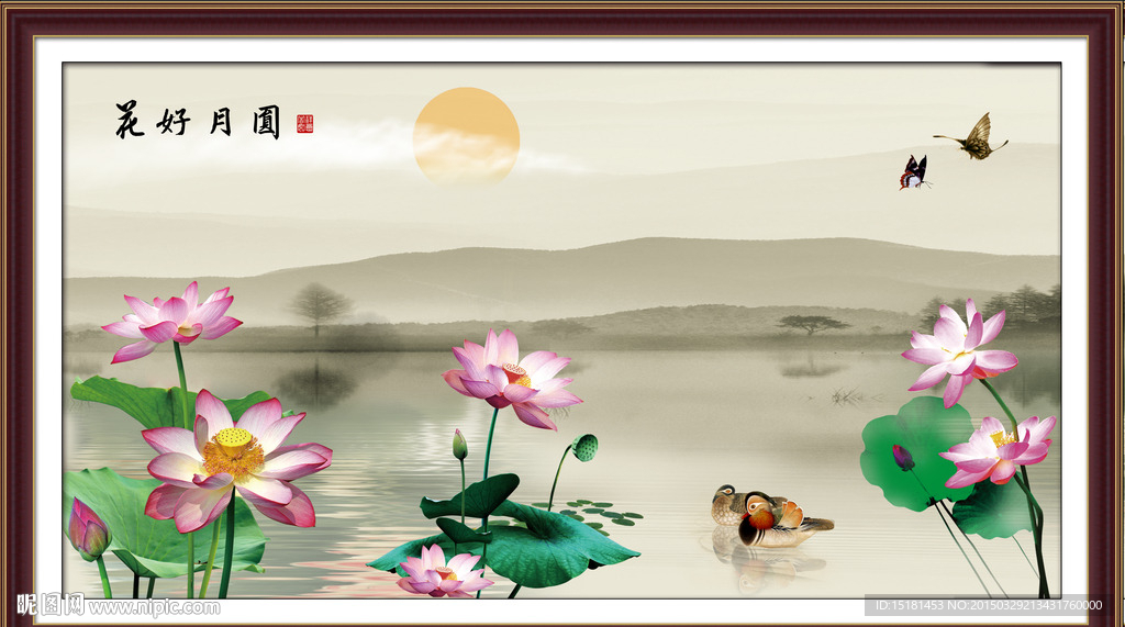 荷花风景