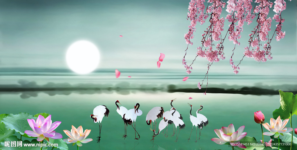 荷花风景