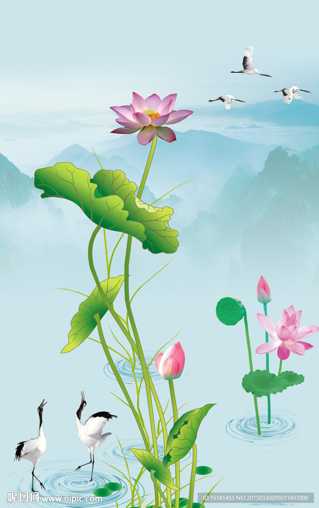 荷花风景