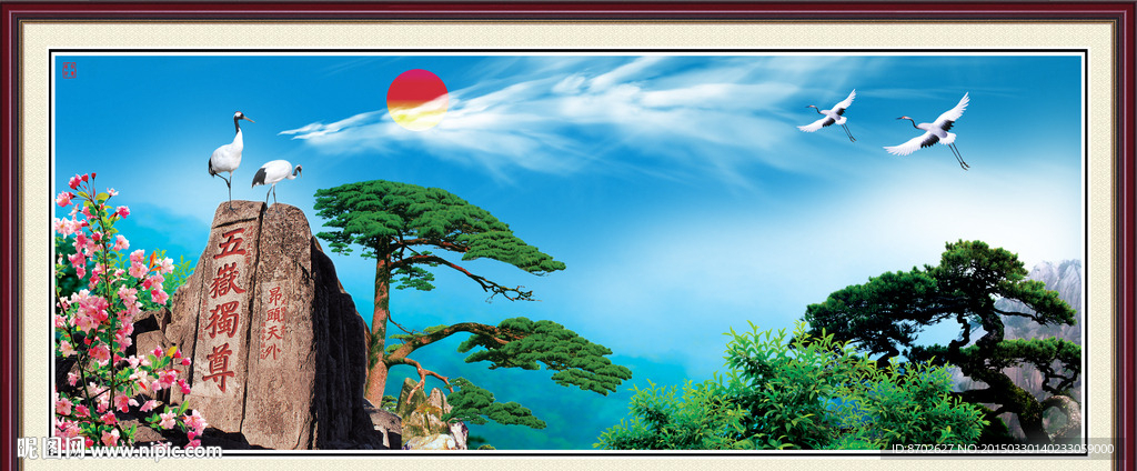 黄山松