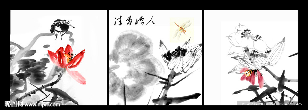 荷花