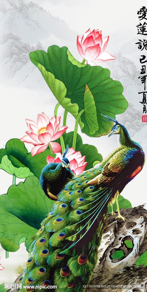 荷花 孔雀图