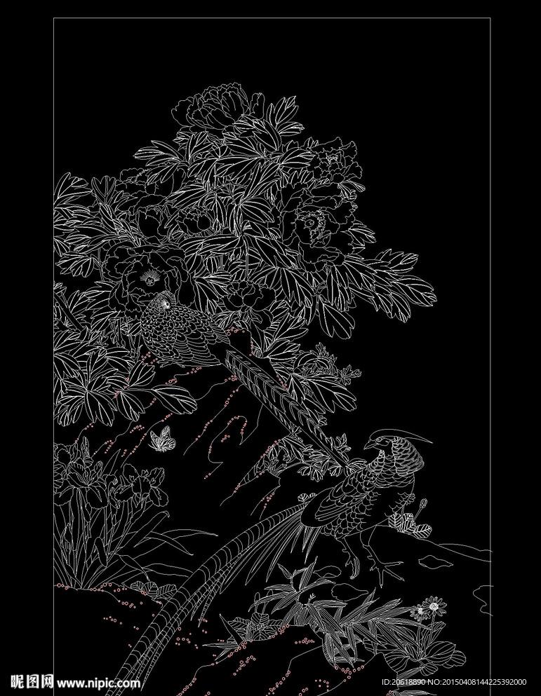 牡丹鸟锦鸡