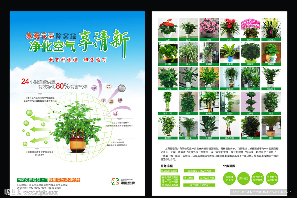 花卉广告   花卉公司广告
