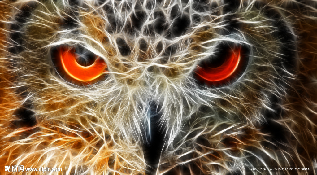 很酷的猎鹰头像