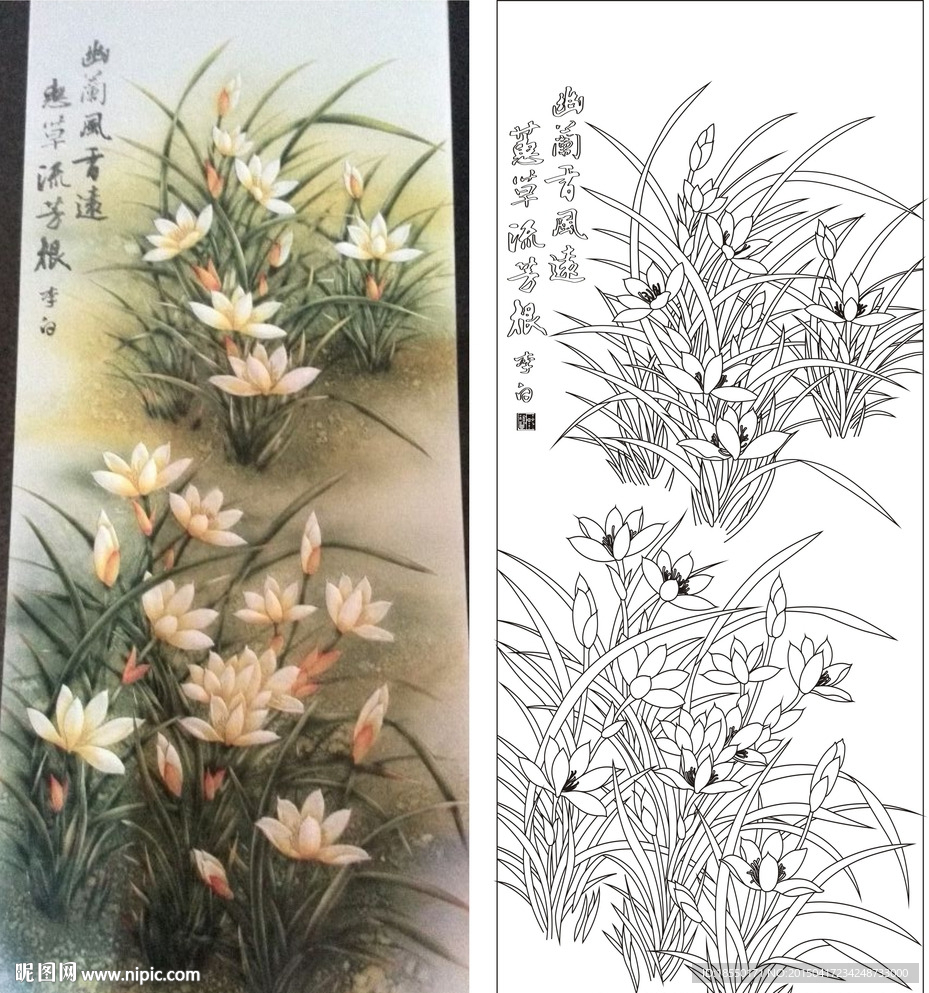 幽兰飘香