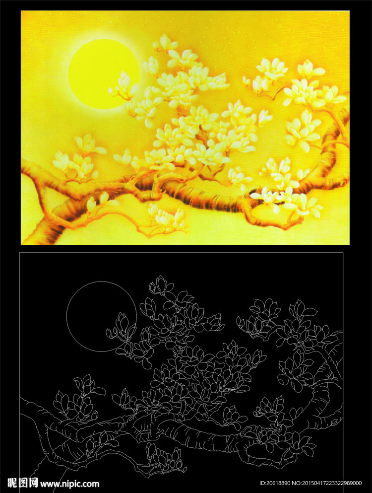 玉兰花树太阳