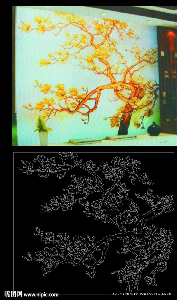 玉兰树