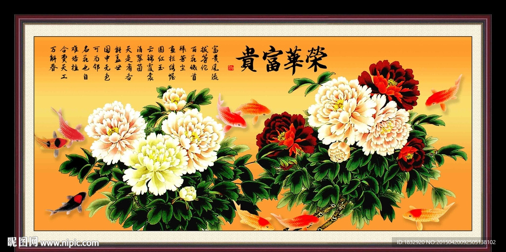 荣华富贵牡丹花图片