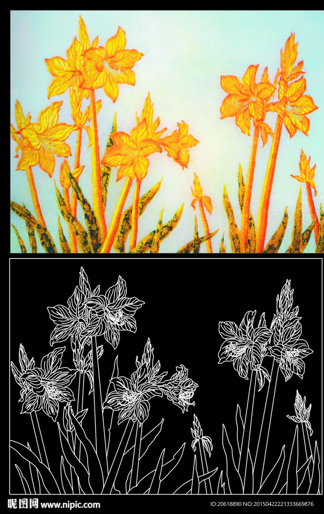 金百合花