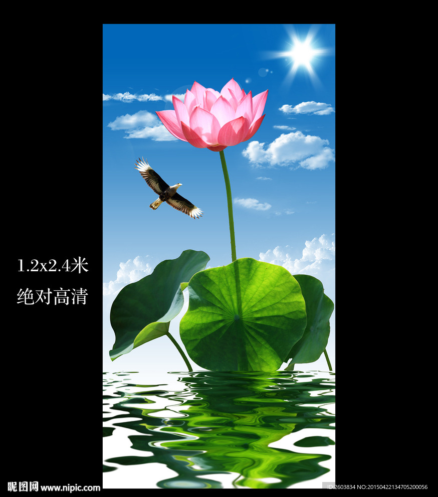 荷花雄鹰蓝天高清玄关设计