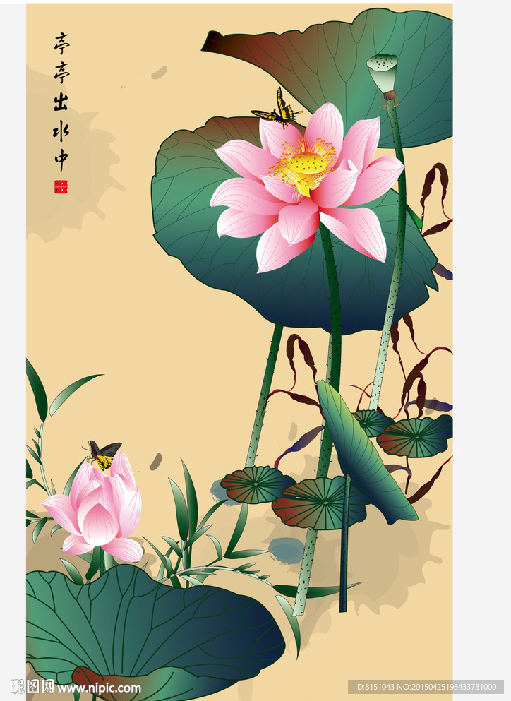 莲花 矢量 全景 壁纸 背