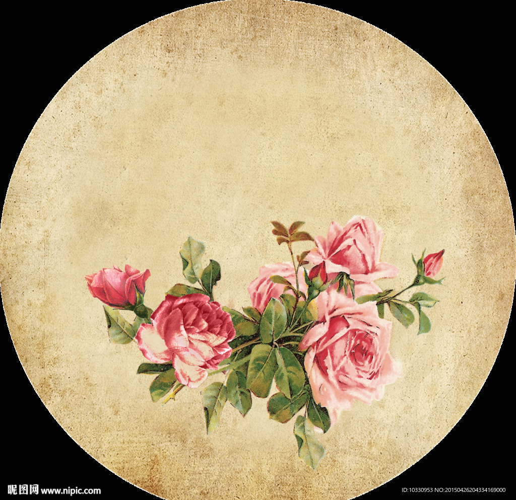 挂钟花纸 玫瑰花