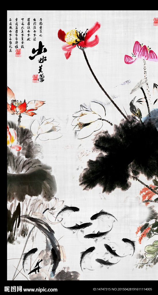 荷花国画